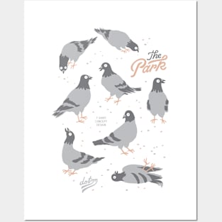 pigeon in the park Posters and Art